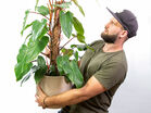 Plants? easy!