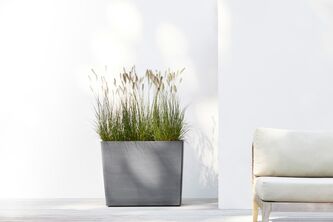 Ecopots Paris